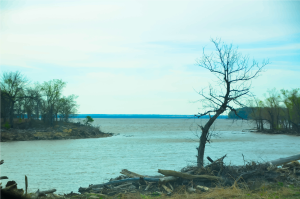 Double Creek Cove Lake Oologah Nowata Oklahoma